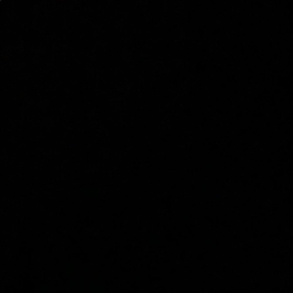 Meet your Posher, Kisha